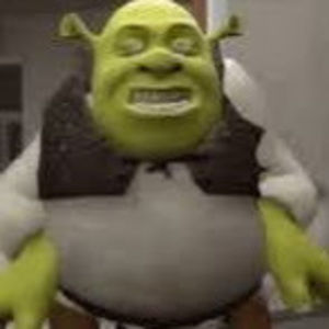 Meet your Posher, Chase